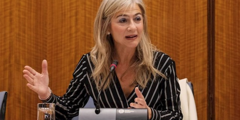 Patricia del Pozo, consejera de Cultura, en comisión parlamentaria. Patricia del Pozo, consejera de Cultura, en comisión parlamentaria.