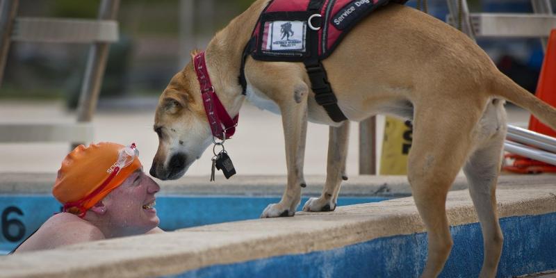 Perro Personas con discapacidad Personas con discapacidad