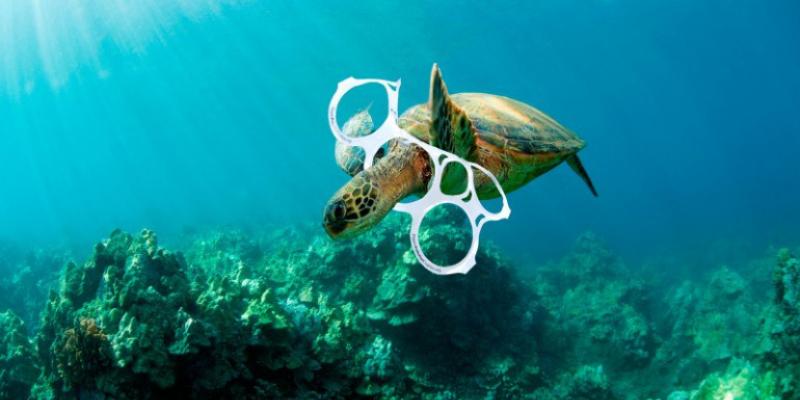 Plástico Triángulo de las Bermudas Sargazo