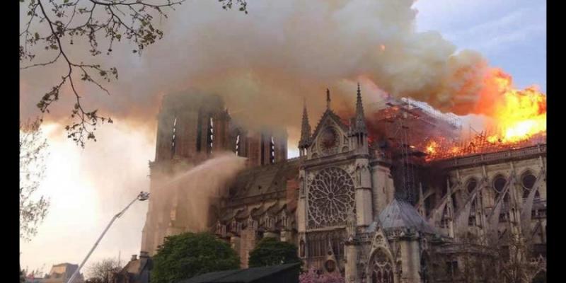 Plomo sangre Notre Dame