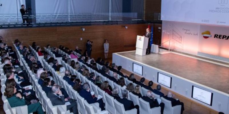 Finalistas Premios CODESPA