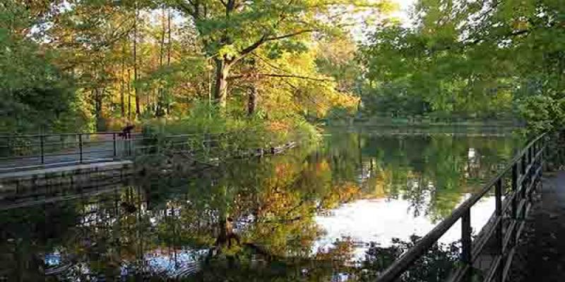 Prospect Park / Turismo Nueva York Prospect Park es uno de los pulmones de Nueva York