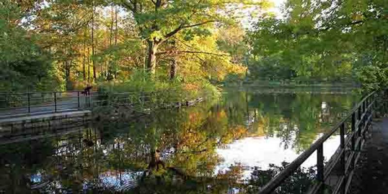 Prospect Park es uno de los pulmones de Nueva York