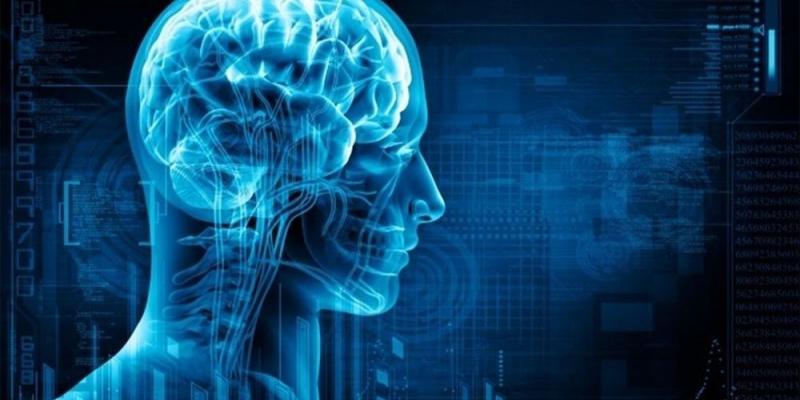 Daño cerebral, ictus Daño cerebral, ictus