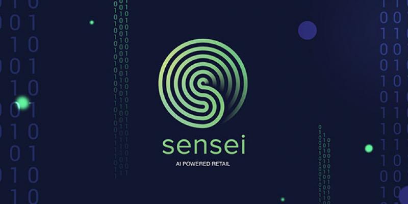 Ante la perplejidad de los grandes centros comerciales europeos frente a la innovación y el crecimiento de Amazon, una startup de Lisboa parece ser la única empresa decidida a hacerle frente al gigante americano. Sensei tech retail