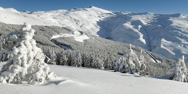 Sierra Nevada