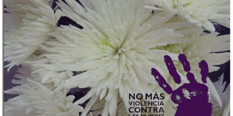 Violencia de género Violencia de género