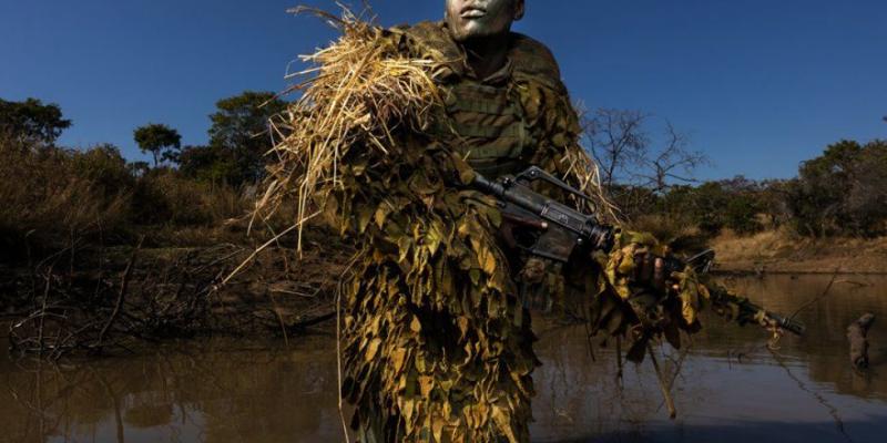 World Press Photo Brent Stirton (Getty Images)