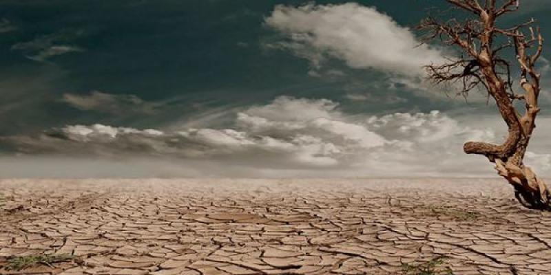 Terreno sin agua / WWF sequía