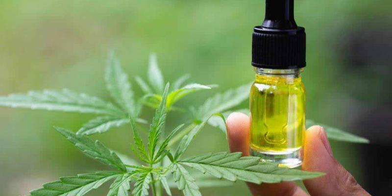 aceite CBD / Unísima El aceite CBD ayuda a combatir la ansiedad y el estrés
