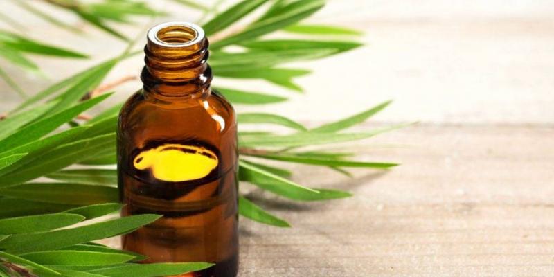 Aceite árbol de té Bote de aceite de árbol de té / Pixabay