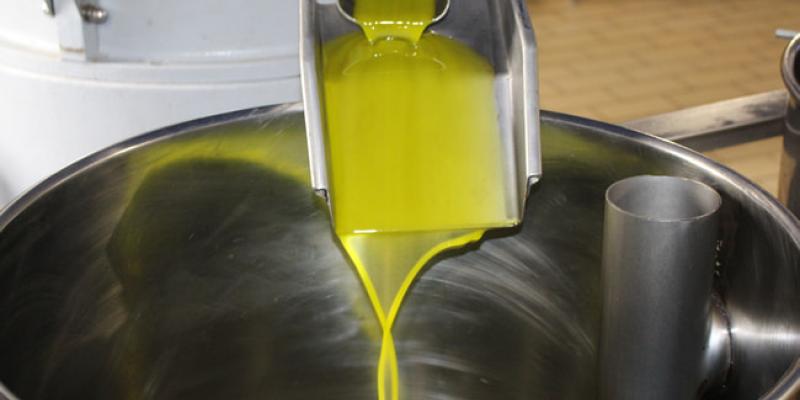 Imagen de aceite de oliva/Economiadehoy "El Olivar – Educando en la alimentación del futuro"