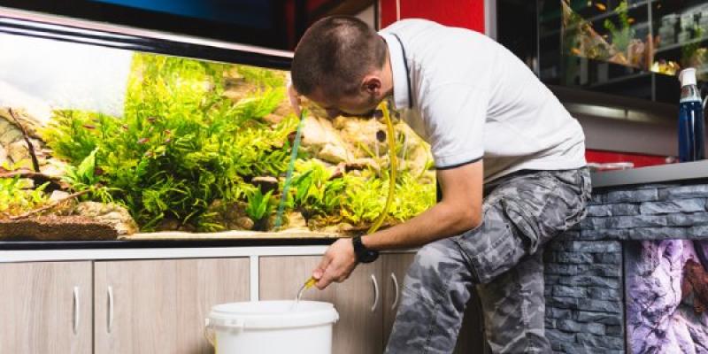 Acuariofilia, pasión por los peces La acuariofilia es una pasión