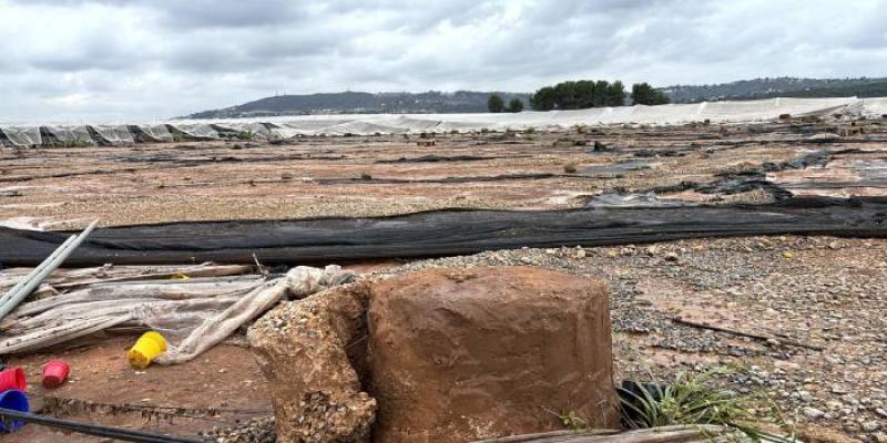 Plantaciones e invernaderos de agricultores afectados por la DANA en Valencia | Foto de AVA-Asaja Plantaciones e invernaderos afectados por la DANA en Valencia