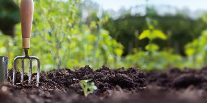 Agricultura ecológica