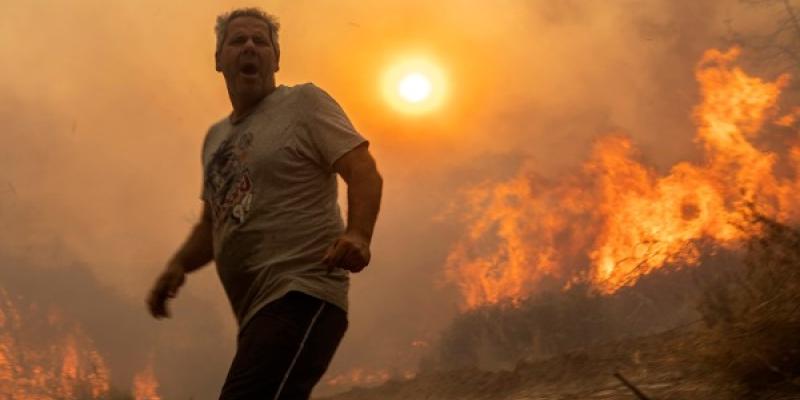 La agricultura en Italia, una pérdida de esperanzas Incendios forestales y agricultura italiana