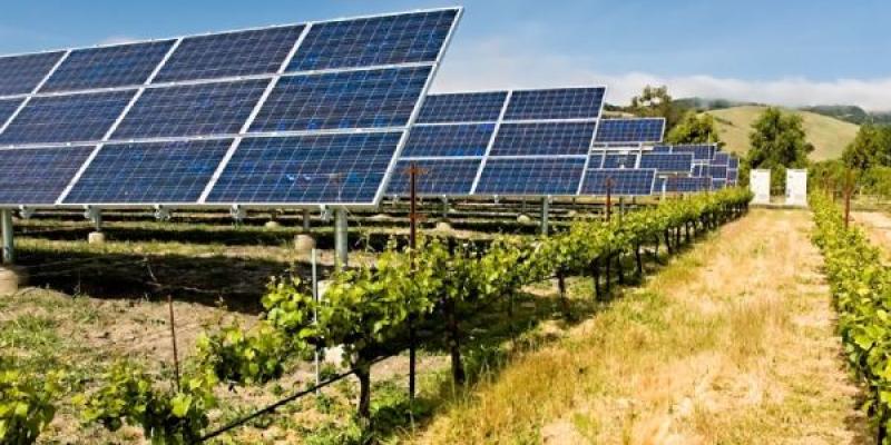 Los proyectos agrícolas y las plantas solares Proyectos agrícolas en plantas solares