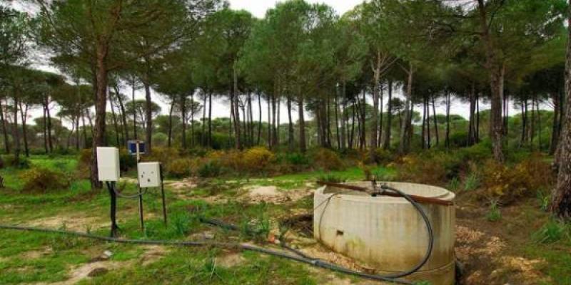 Agua subterránea en Doñana/ WWF Pozo ilegal para la extracción de agua subterránea