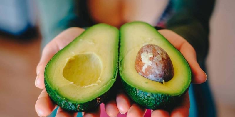 Aguacates Cultivo de aguacates