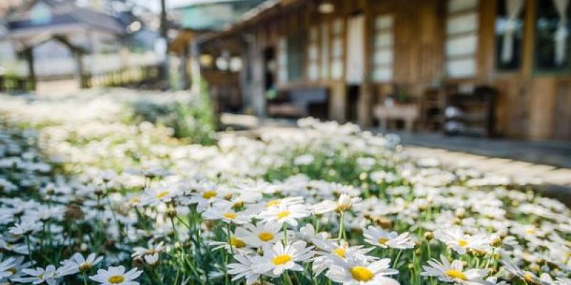 La sequía y los jardines caseros/ Pixabay Contrarrestar la sequía ahorrando agua en el jardín