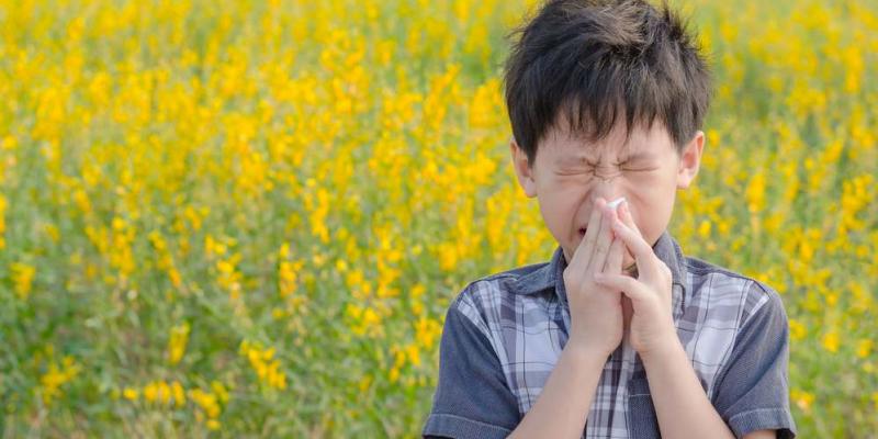 Niño con alergia al polen / Pixabay