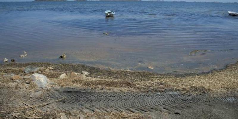 Algas y fango en el Mar Menor tras las riadas 