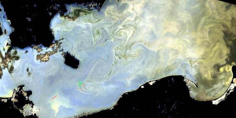 Imagen satelital de algas nocivas en el Mar Báltico en junio de 2016