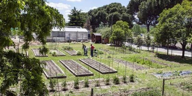 Huertos ecológicos para alimentación sostenible/ OCT Alimentación sostenible