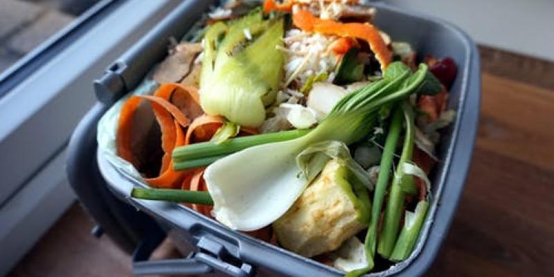 Muchos de los alimentos producidos en el mundo son desperdiciados Un 14 % de los alimentos producidos en el mundo nunca llegan a la mesa