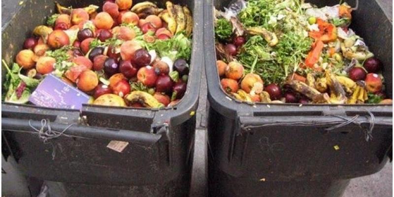 Un 17 % de los alimentos disponibles en el mundo va a la basura