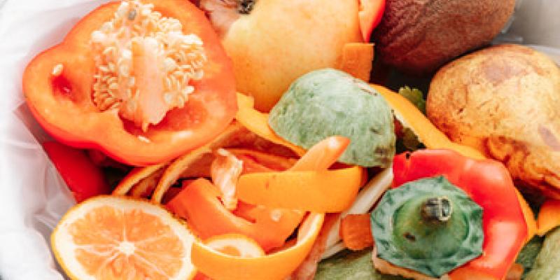 Imagen de alimentos caducados/Envatoelements Los españoles consumen alimentos caducados