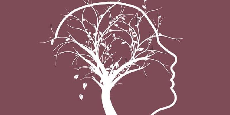 Imagen de un dibujo de una cabeza/Pixabay Un estudio asegura la relación entre el alzhéimer y la longevidad ovárica