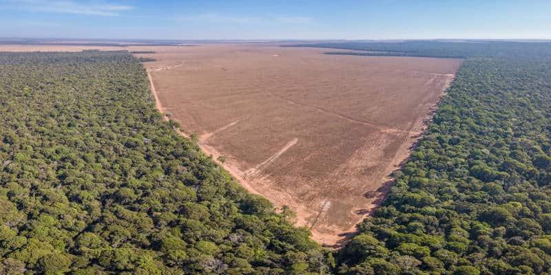 Imagen del Amazonas y la deforestación/National Geographic El Amazonas sigue amenazada por la deforestación