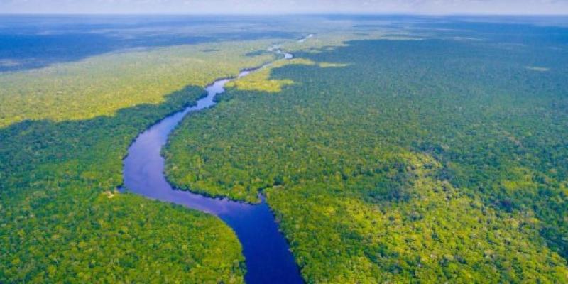 Amazonas afectado por una enfermedad zoonótica Región del Amazonas