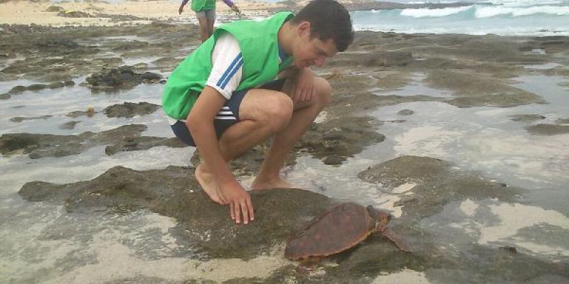 Canarias y sus amenazas ambientales/ WWF Amenazas ambientales