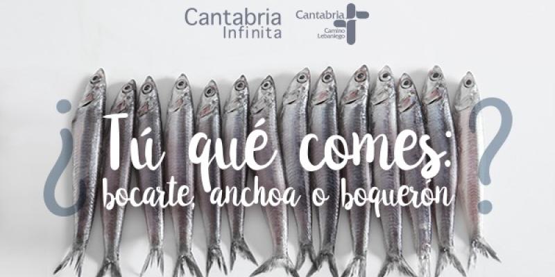 La anchoa y el boqueron/ Turismo de Cantabria Anchoa, boquerón o bocarte