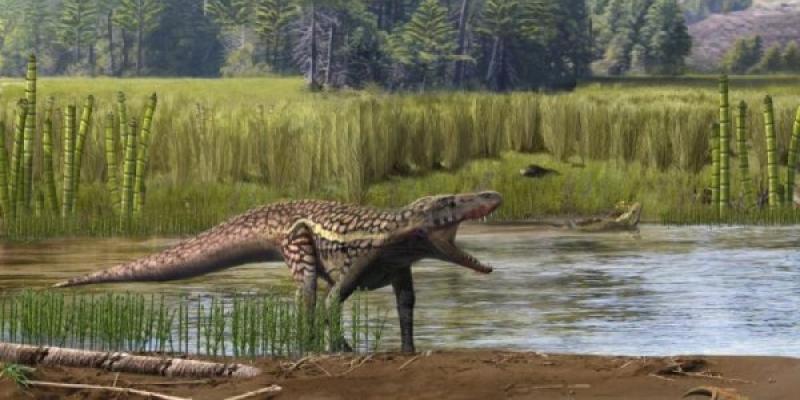 Recreación del aspecto en vida de un arcosaurio y del paleoambiente del Triásico