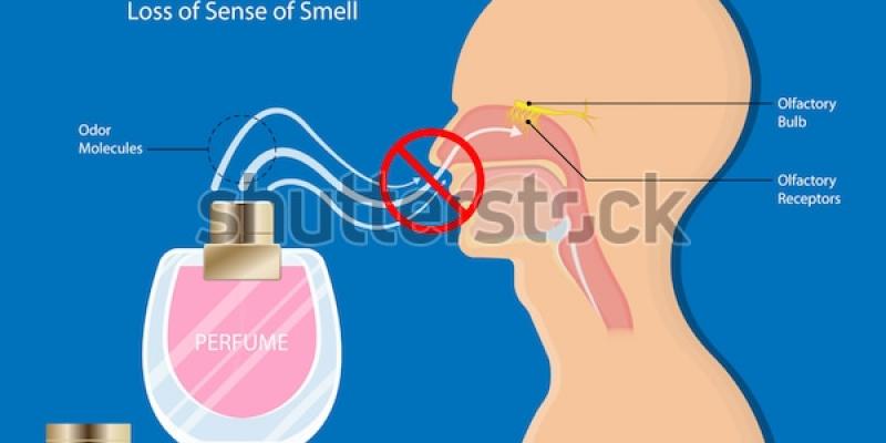 Imagen que describe la anosmia 