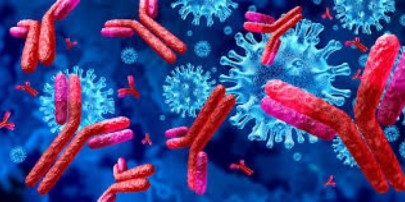 Los anticuerpos protegen el organismo/ Pixabay Anticuerpos y virus