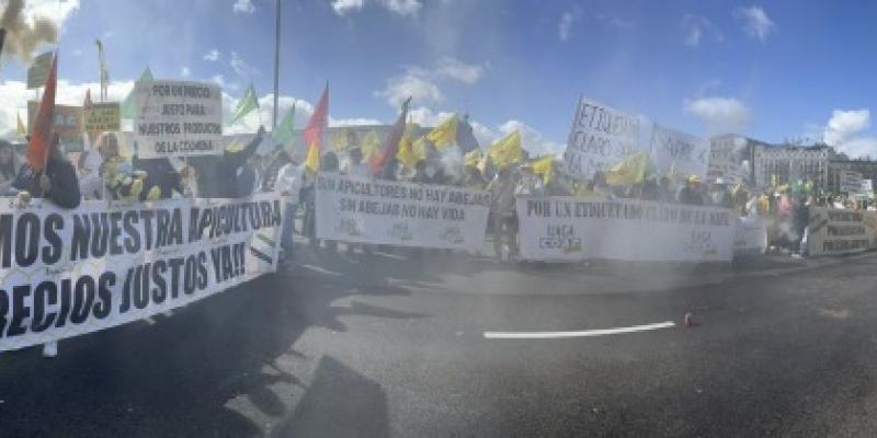 Manifestación de apicultores pidiendo justicia