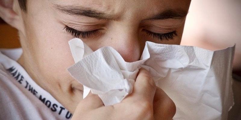 Alergia en primavera Niño con alergia / Pixabay