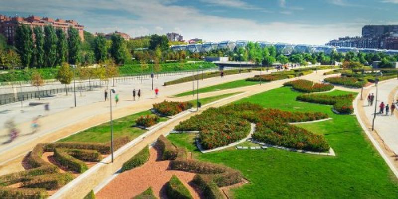 árboles y zonas verdes en Madrid Río