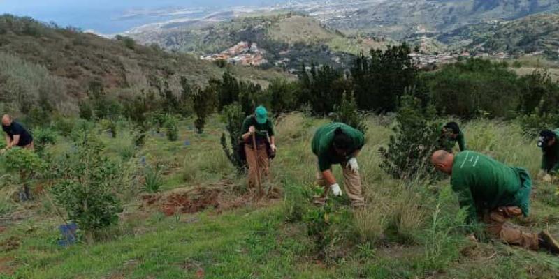 Imagen de una zona natural/Oficinas Verdes Medio Ambiente y su lucha en las zonas degradadas