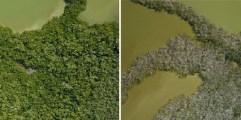 El clima deja más expuestas a zonas del Caribe y Centroamérica Degradación de las zonas de centroamérica por el clima tras el paso de un ciclón