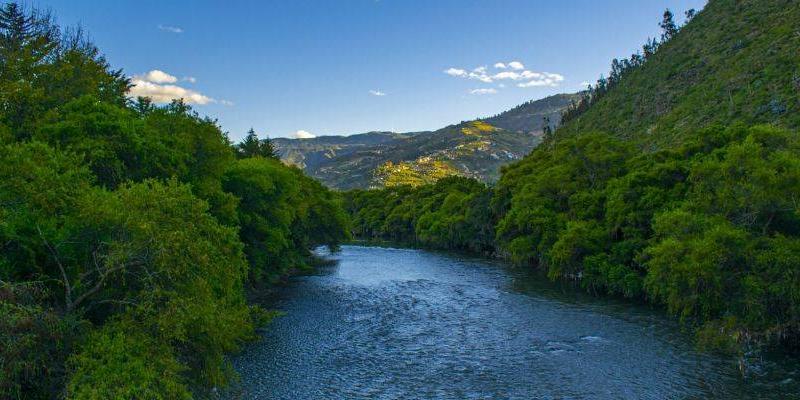 Foto: Fernando Zhiminaicela - Pixabay Río en plena naturaleza