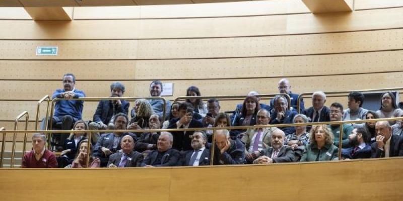 Representantes del movimiento asociativo de la discapacidad en la tribuna del Senado el día que se votaba la reforma constitucional | Foto de Jorge Villa/Servimedia Representantes del movimiento asociativo de la discapacidad en la tribuna del Senado el día que se votaba la reforma constitucional