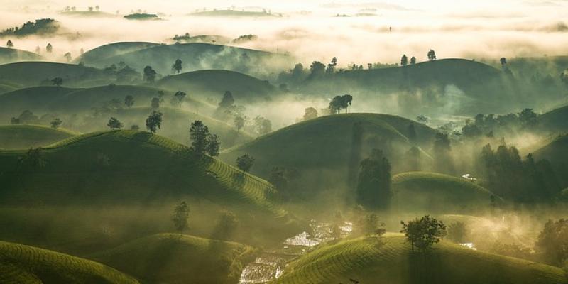 Asia / Pixabay Campos de arroz en Asia
