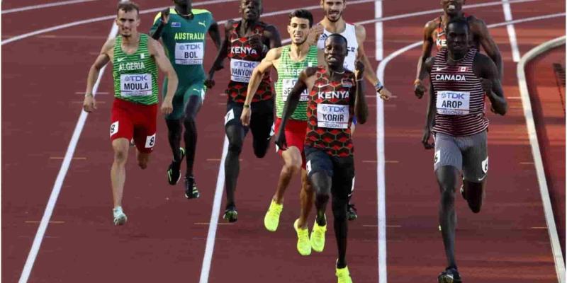 Imagen de varios atletas paralímpicos/Marca.com Marcas mínimas para los atletas de los juegos paralímpicos