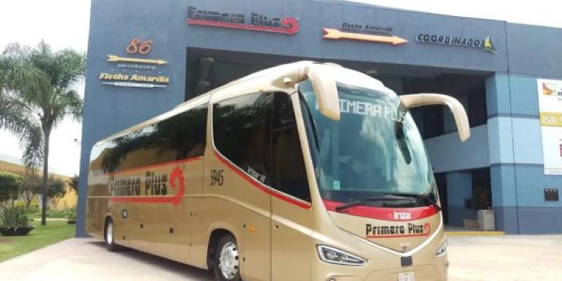 Primera Plus / Archivo Autobús