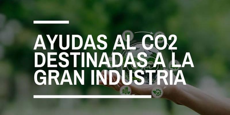 La Moncloa Imagen de la campaña de ayudas del Gobierno